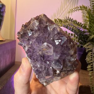 Amethyst Crystal Cluster - Vintage Collection Specimen