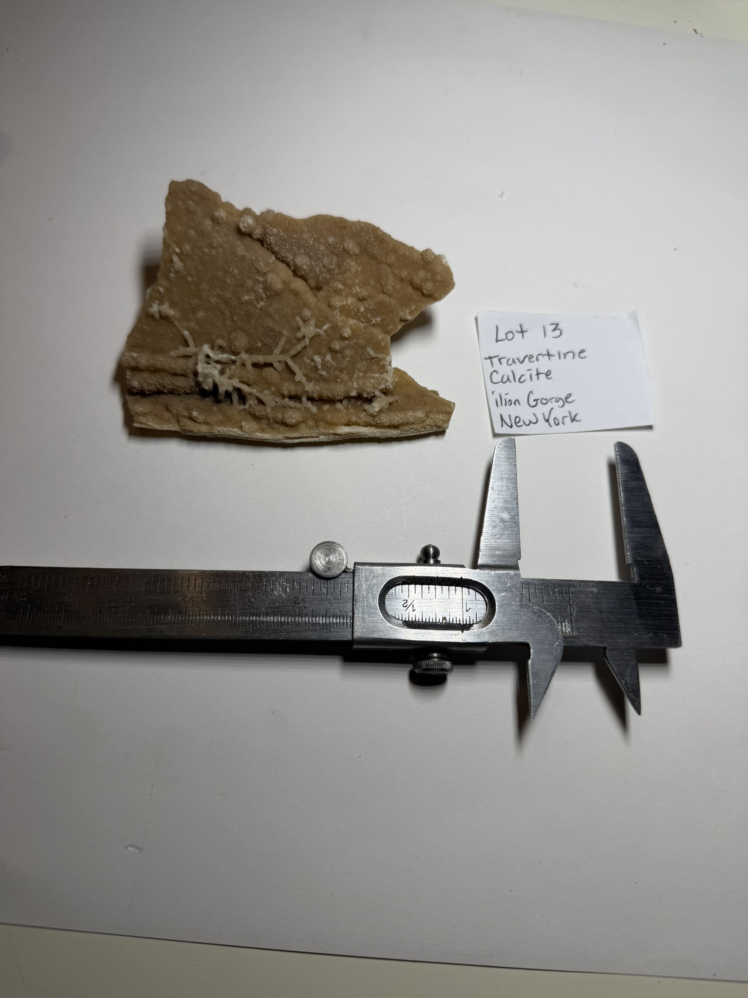 Travertine Calcite Specimen - Ilion Gorge, New York