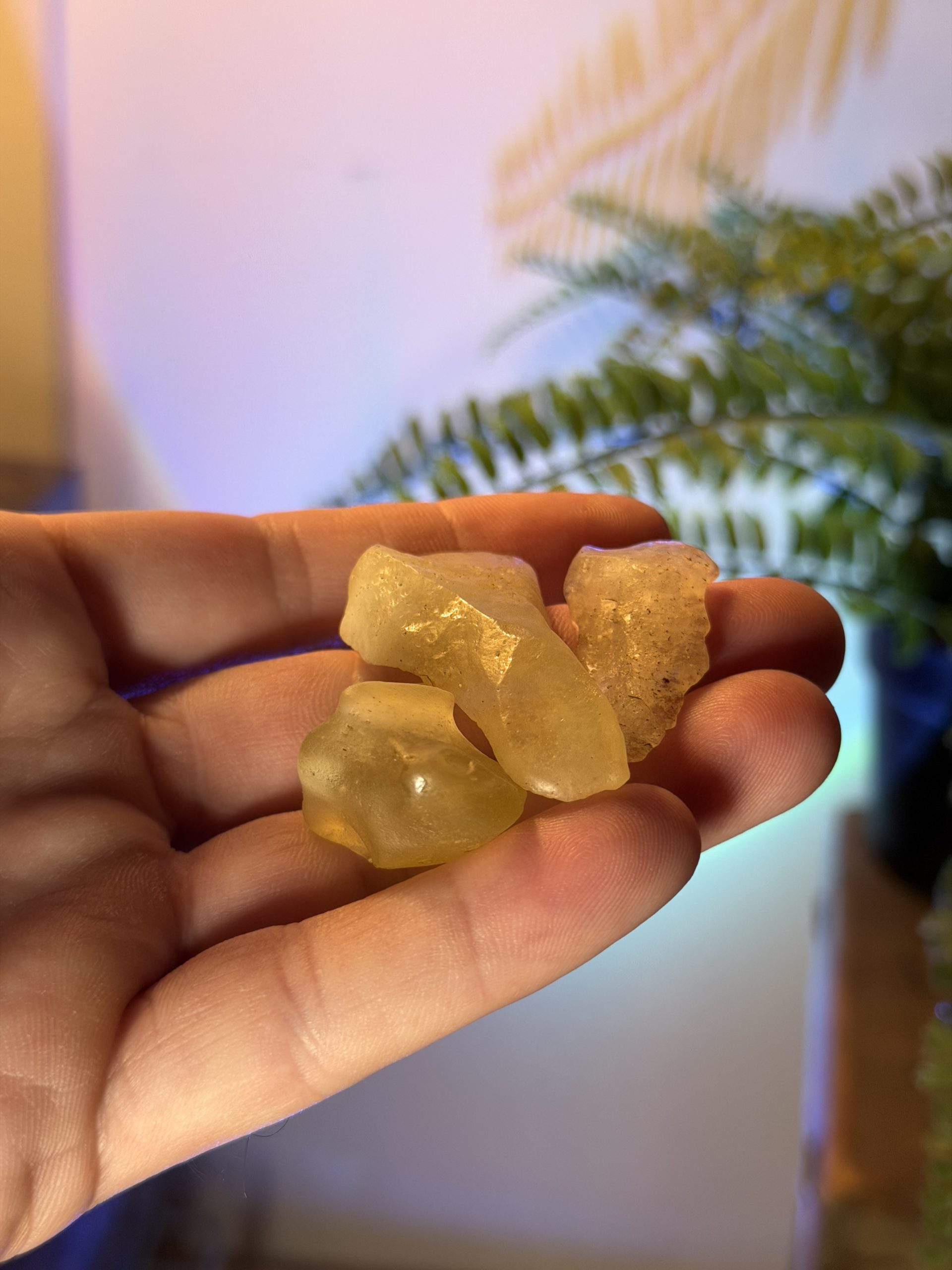 Libyan Desert Glass — Natural Tektite Lot, 3 Pieces - Crystal Harvest product photo
