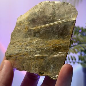 Golden Mica with Tourmaline — Natural Specimen