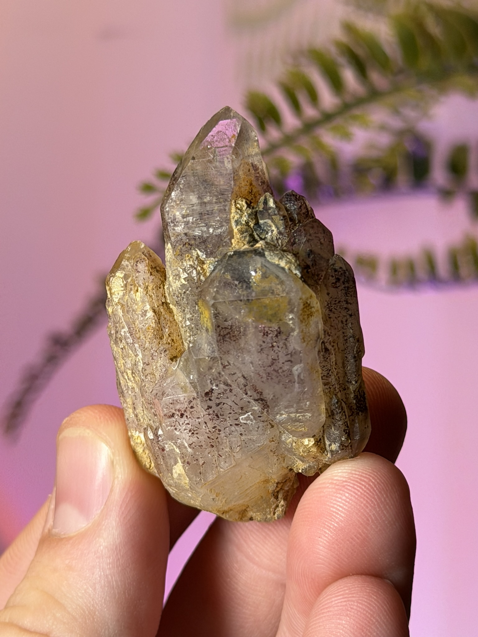 Brandberg Amethyst Crystal Cluster — Tafelkop, Namibia - Crystal Harvest product photo