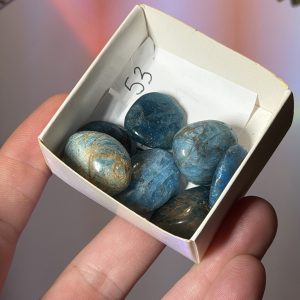 Tumbled Blue Apatite Stones — Set of 7